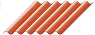 Rot